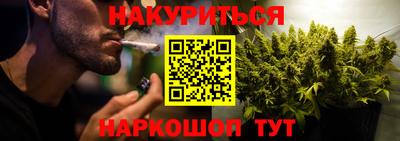 СК Краснодар