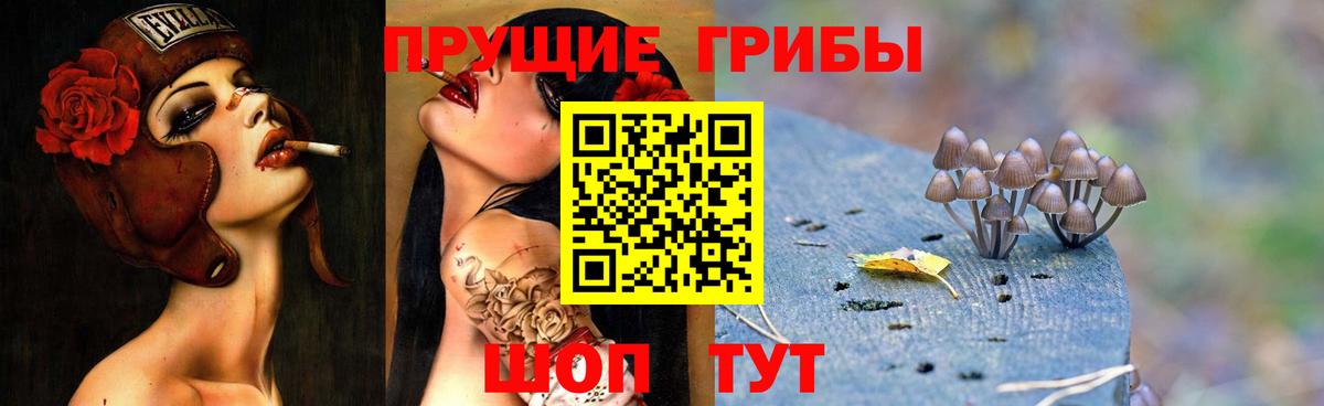 Галлюциногенные грибы мухоморы Каменск-Уральский